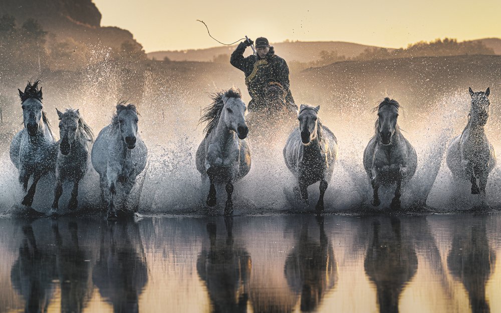 Photograph by Kok Tien Sang