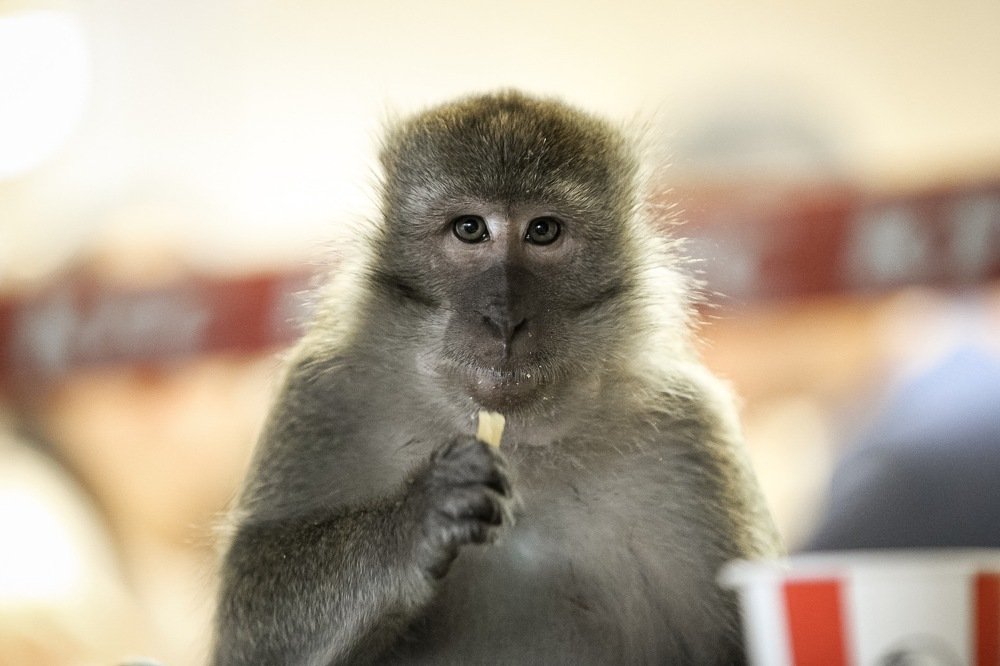 Photograph by Елена Цырюк