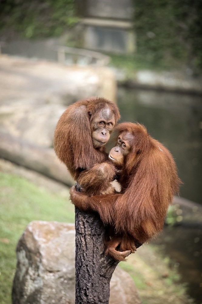 Photograph by Елена Цырюк