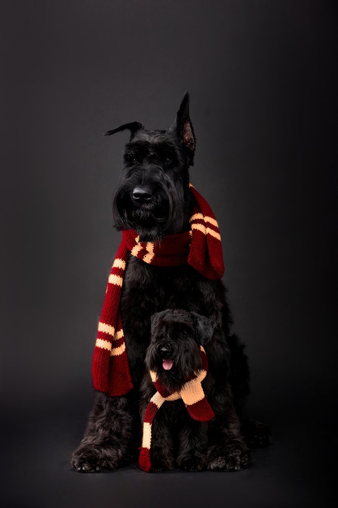 Photograph by Мария Старосельцева