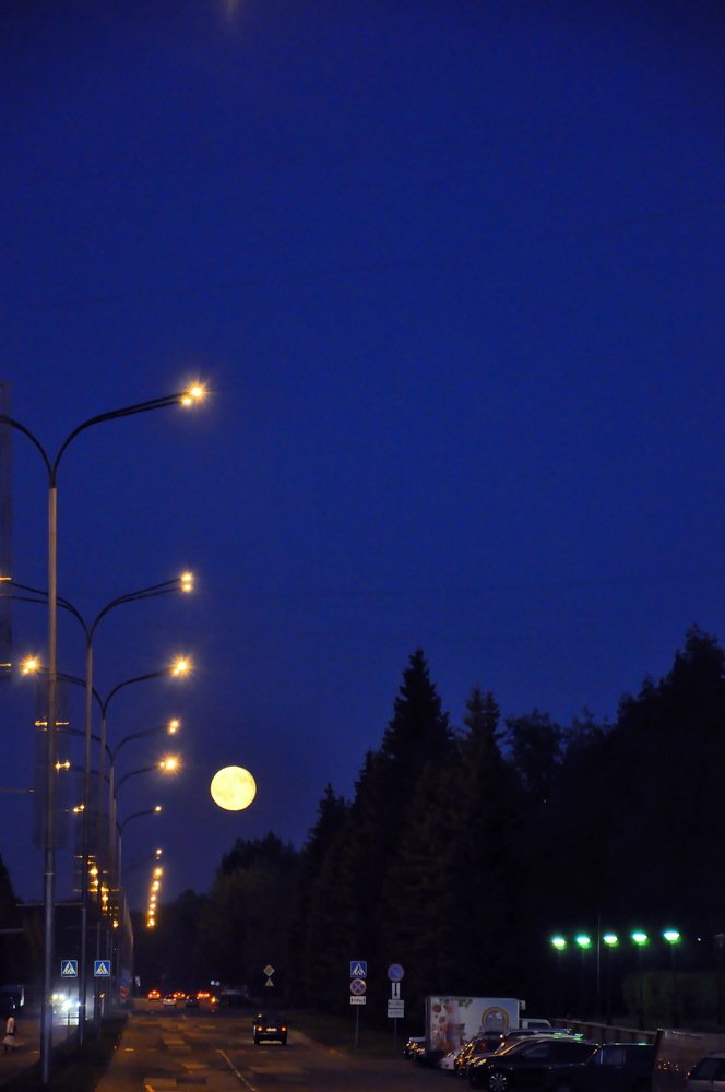 Photograph by НИНА АВЕРЬЯНОВА