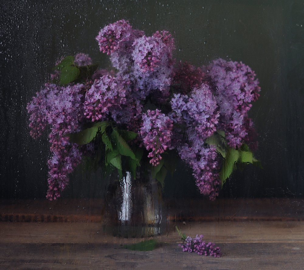 Лиловыми манит кистями...