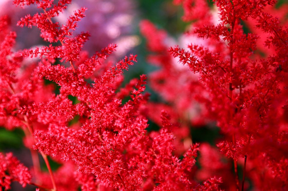 Photograph by Оля Ветрова