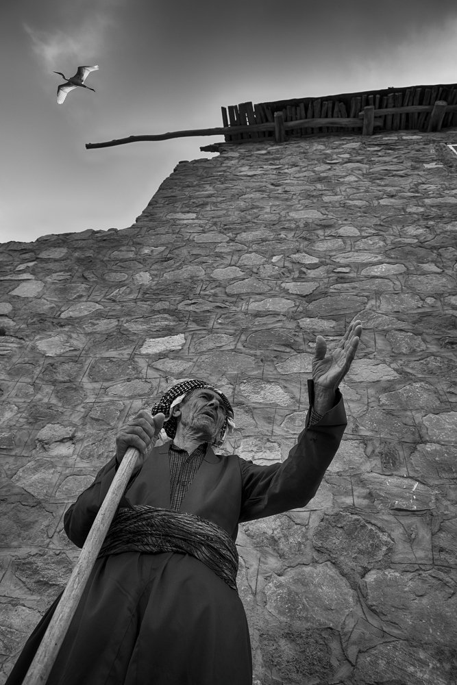 Photograph by Sherzad Rostamdost