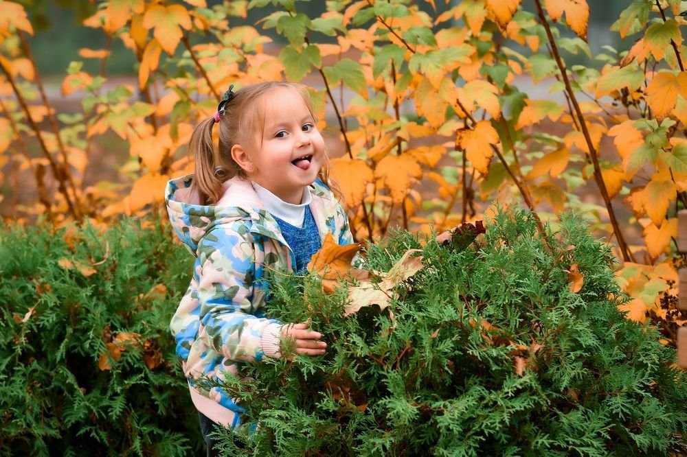 Фотография автора Алёна Васильева
