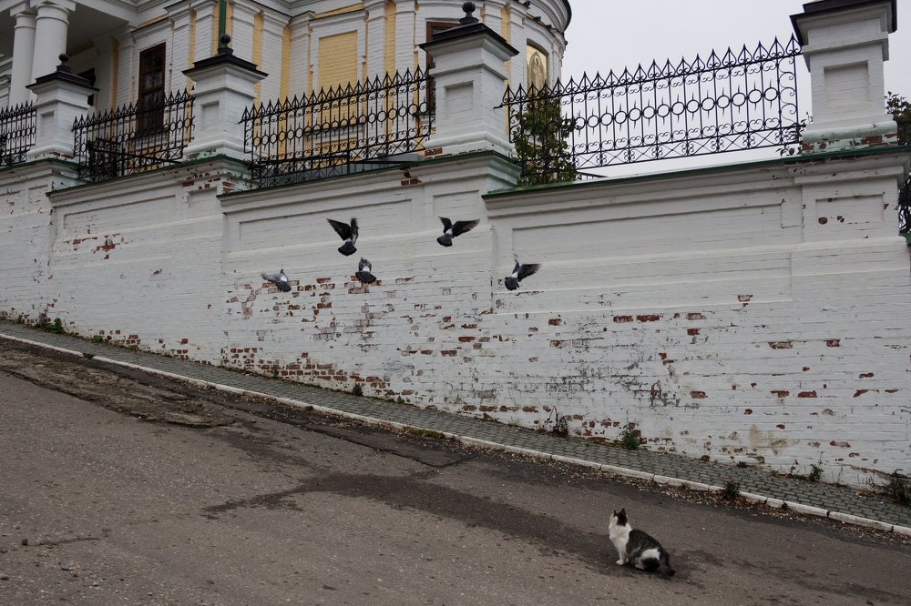 Photograph by Полина Парамонова