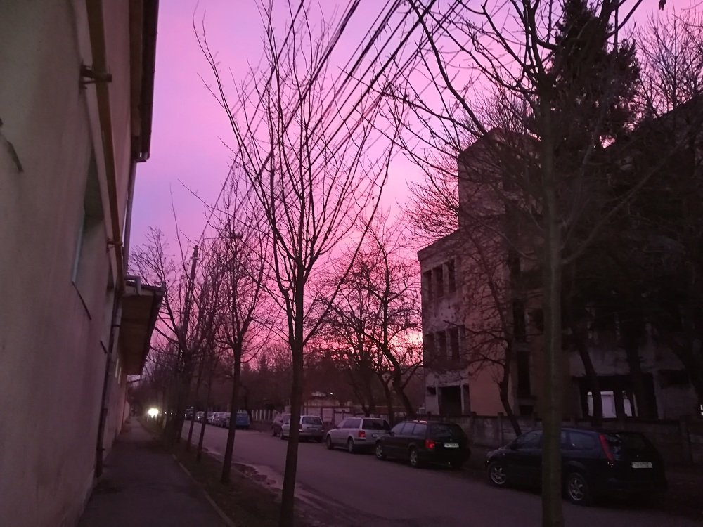 Photograph by Gemelina Opriș