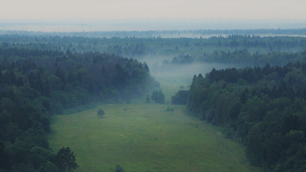 Photograph by Наталка Мазурук