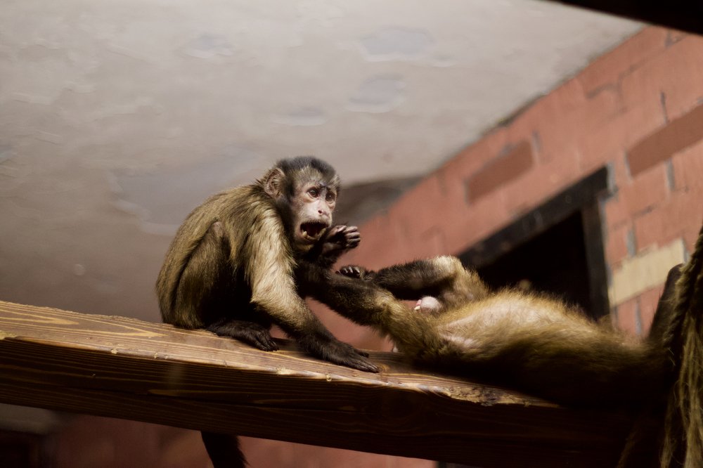 Photograph by Анастасия Полищук