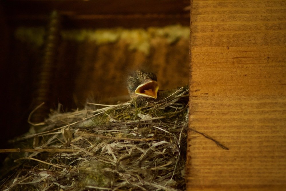 Photograph by Анастасия Полищук