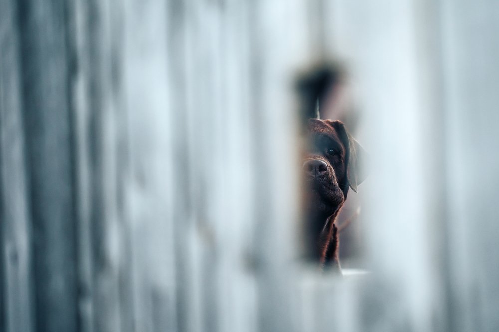 Photograph by Valery Kudryavtsev