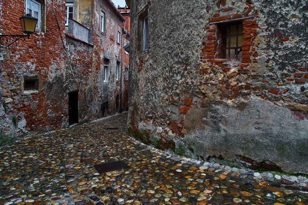 Фотография автора David Solodar