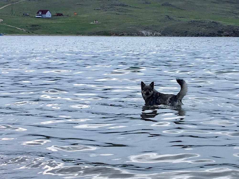 Photograph by Наталья Скиданова