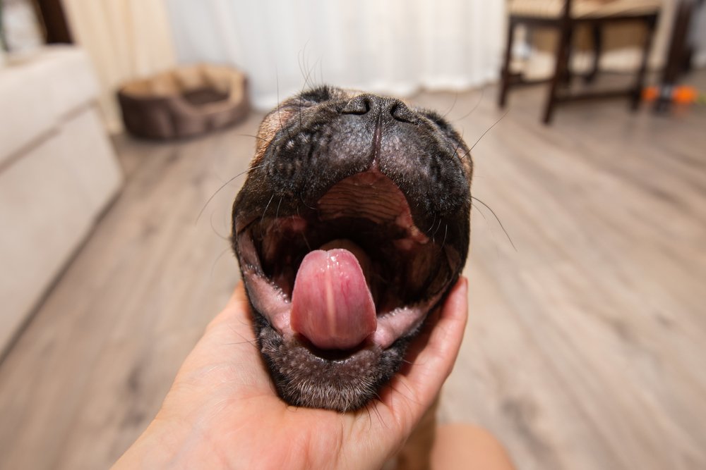 Photograph by Кадырова Марина