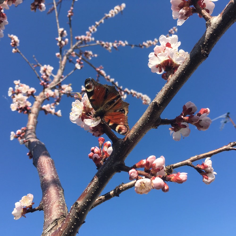 Photograph by Валентина Широбокова