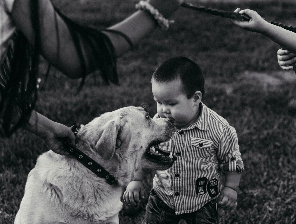 Photograph by Айман Дайрабаева