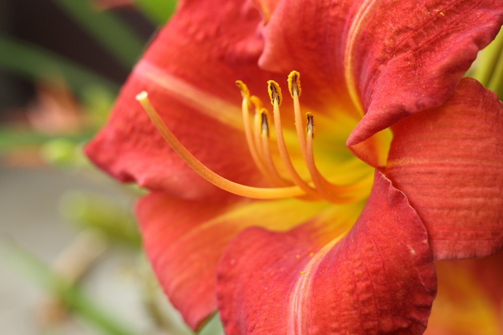 Красота внутри