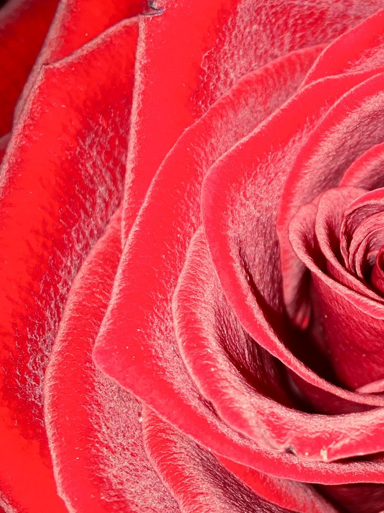 Photograph by Наталья Скиданова