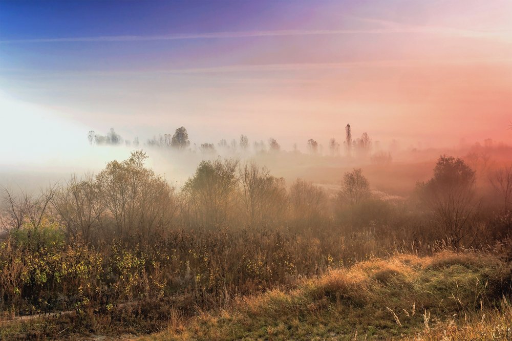 В море тумана..