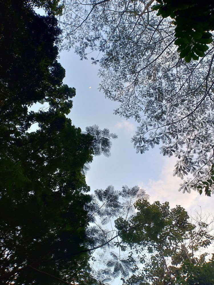 Take a Moment and Look Up