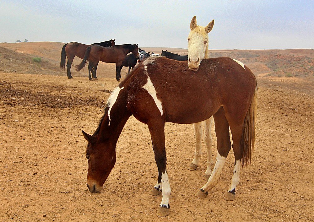 Photograph by Debbie Strauss