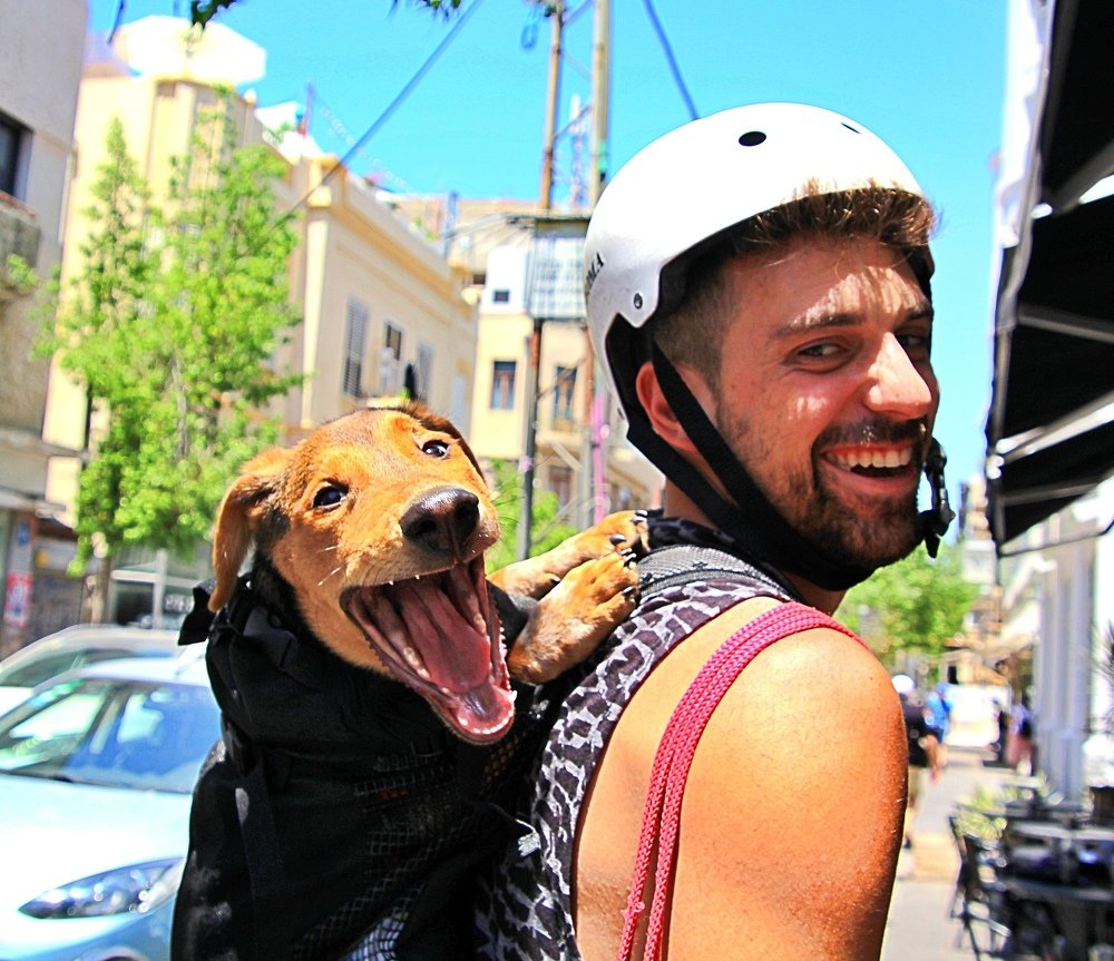 Photograph by Debbie Strauss