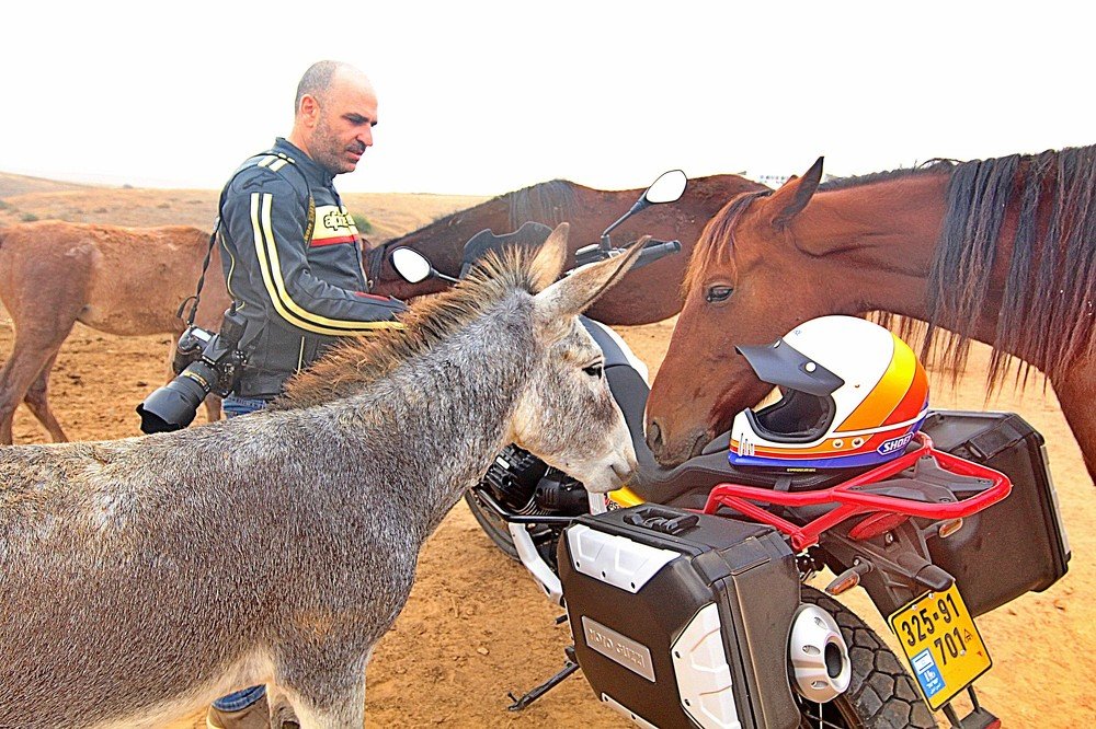 Photograph by Debbie Strauss