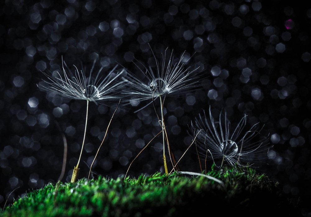 ..хрупкий мир..