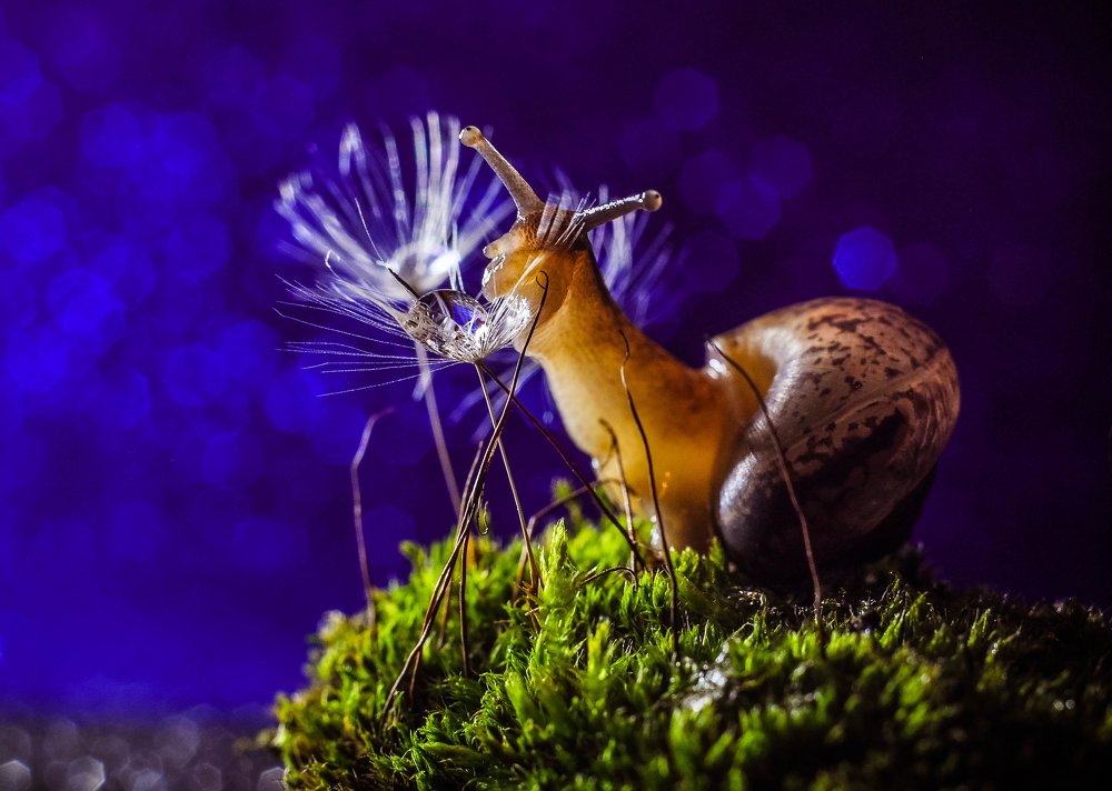 ..утоляя жажду..