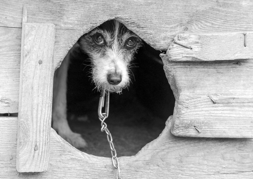 С чем пришел,человек?