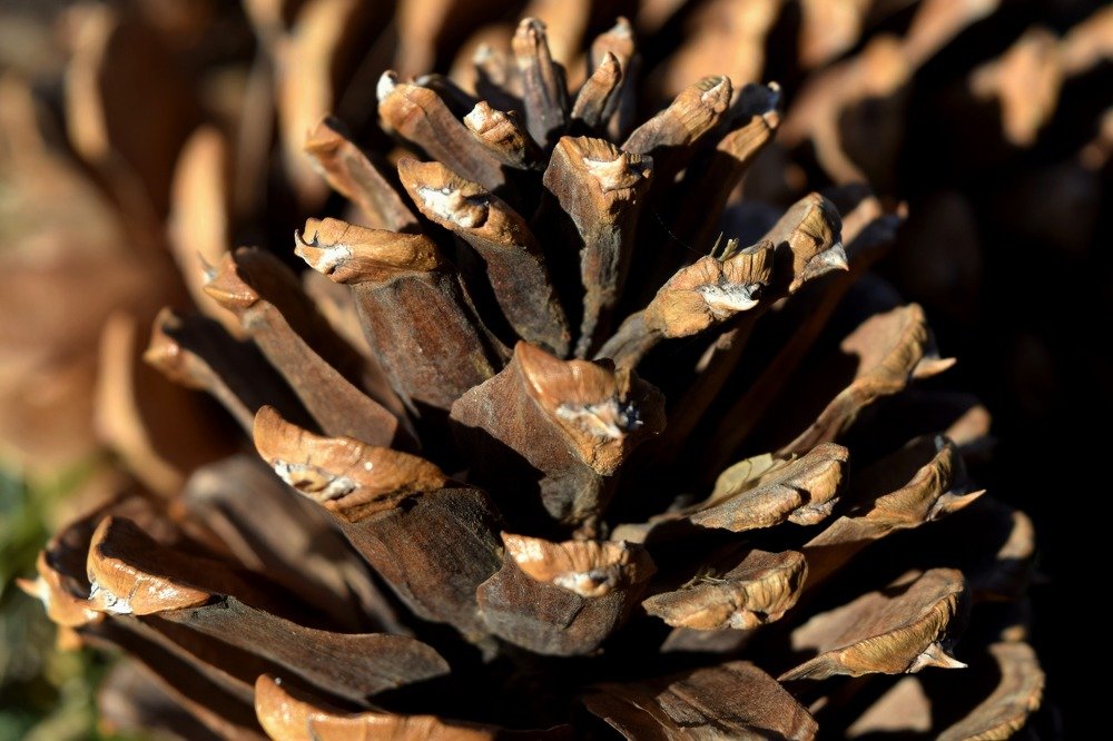 Photograph by Beatriz Games