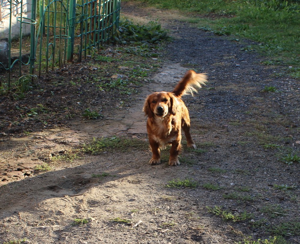 Photograph by Николай Немчанинов