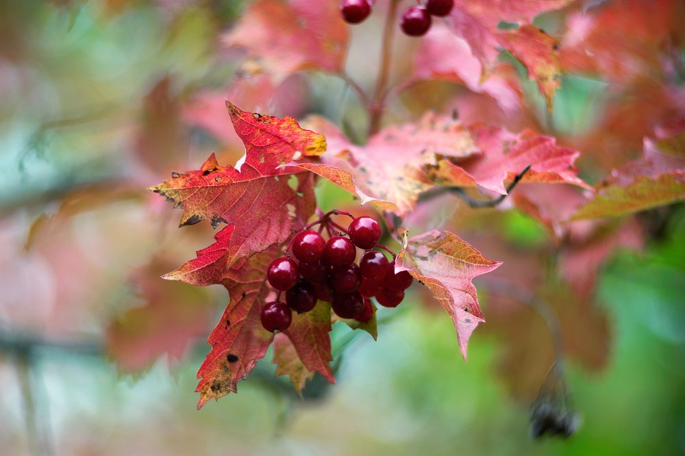 Photograph by Сергей