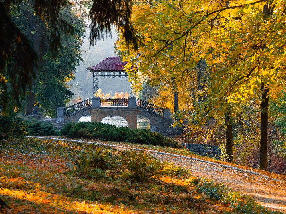 Фотография автора Aleksa Torri