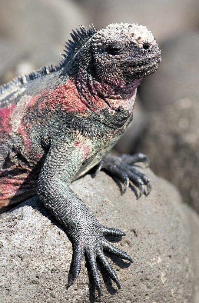 Photograph by Irina Grigoryeva