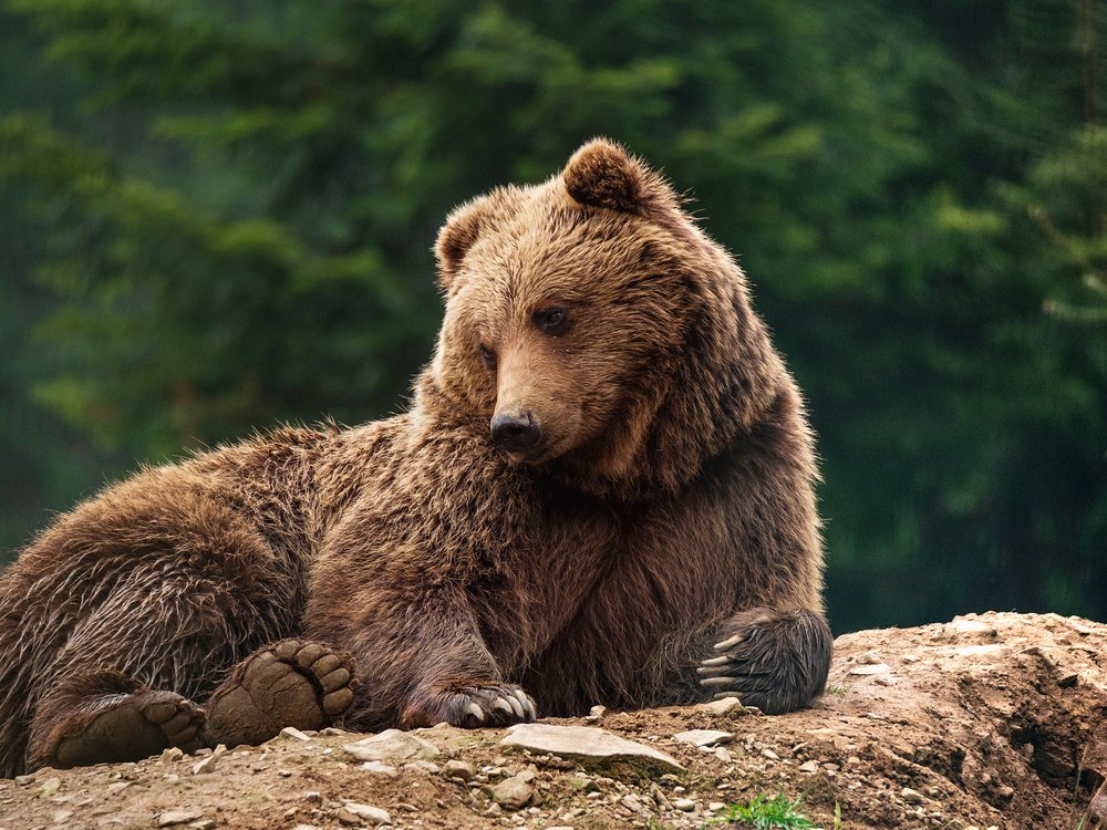 Фотография автора Aleksa Torri