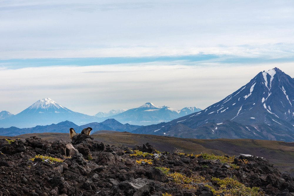 Photograph by Евгений Масленников