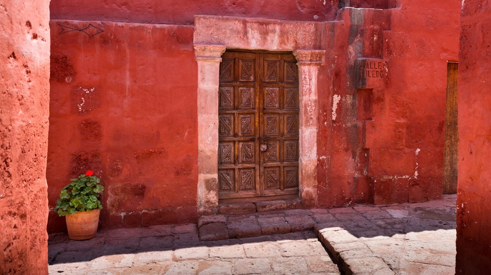 Фотография автора Елена Баврина