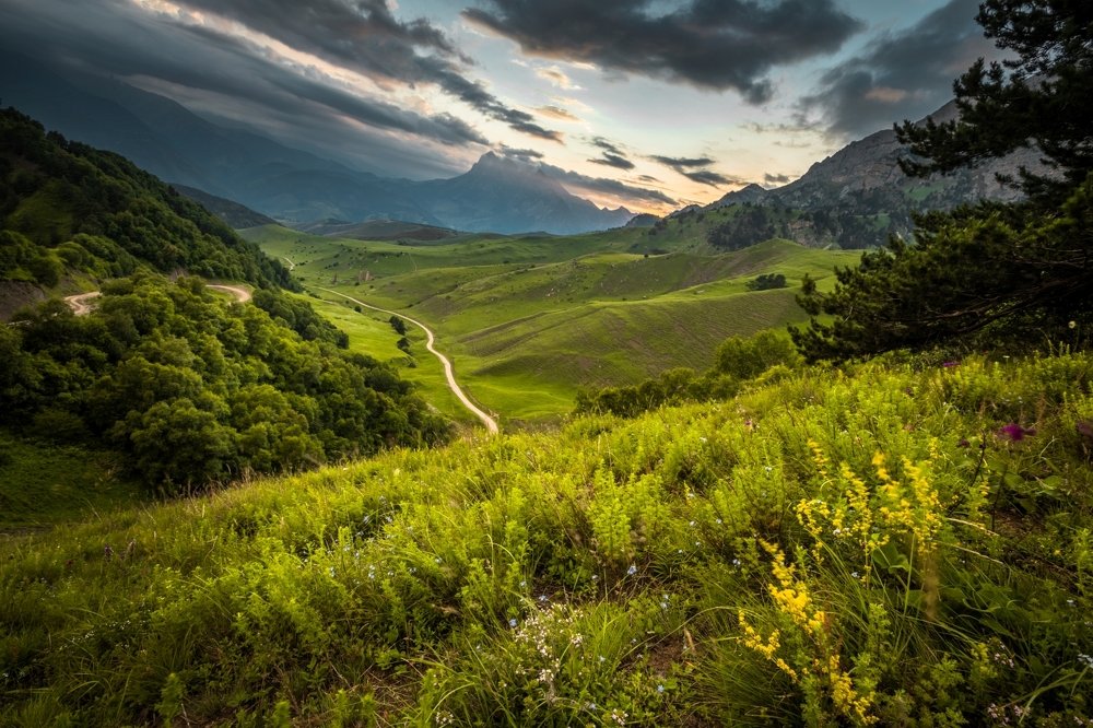 Photograph by Алексей Мараховец