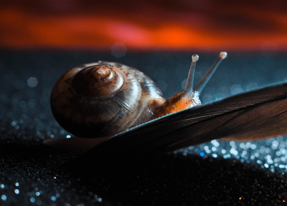 ..на закате..