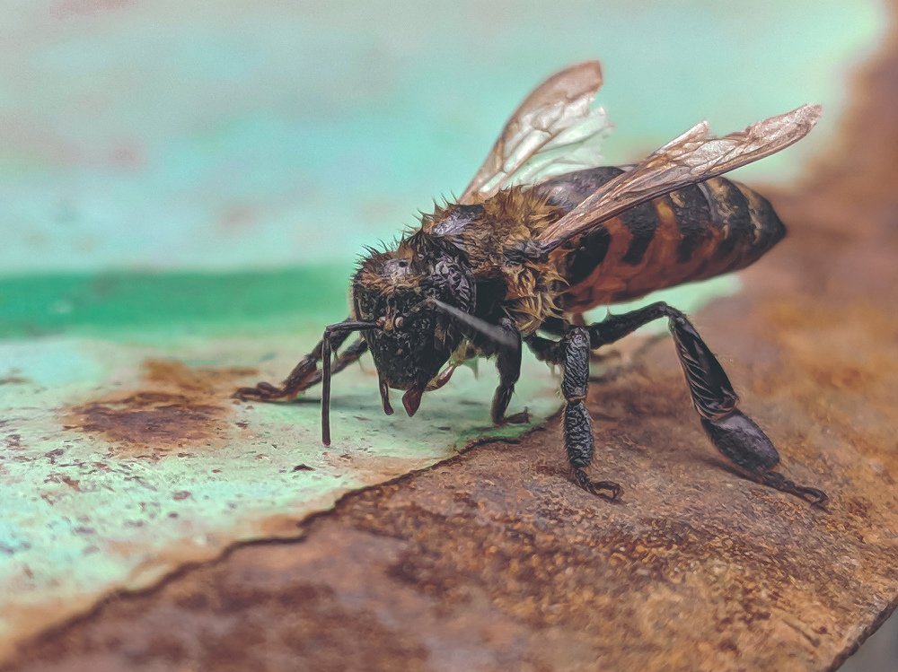 Photograph by Дмитрий Иванченко