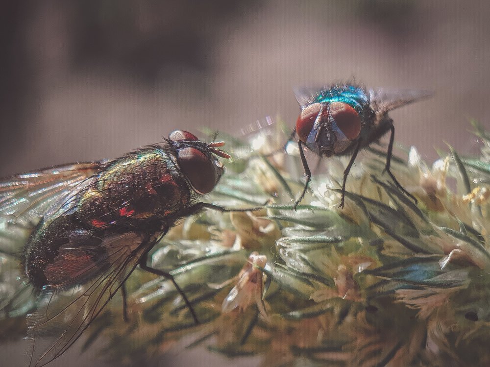 Photograph by Дмитрий Иванченко