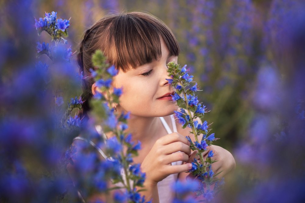 Photograph by Диана Бечина