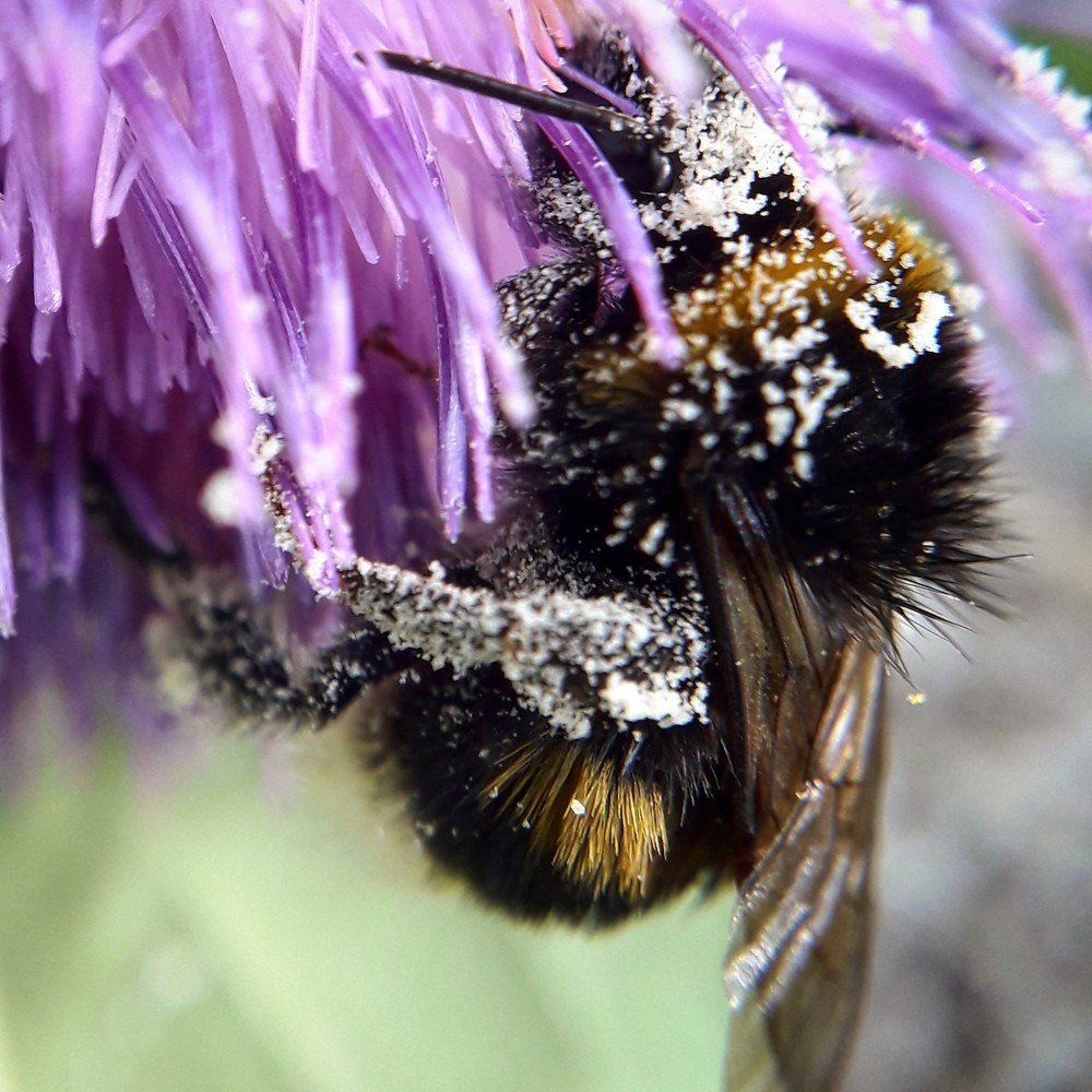 Photograph by Оксана Кочубеева