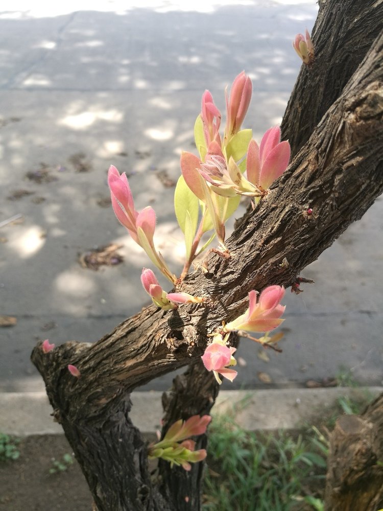 Life triumphs