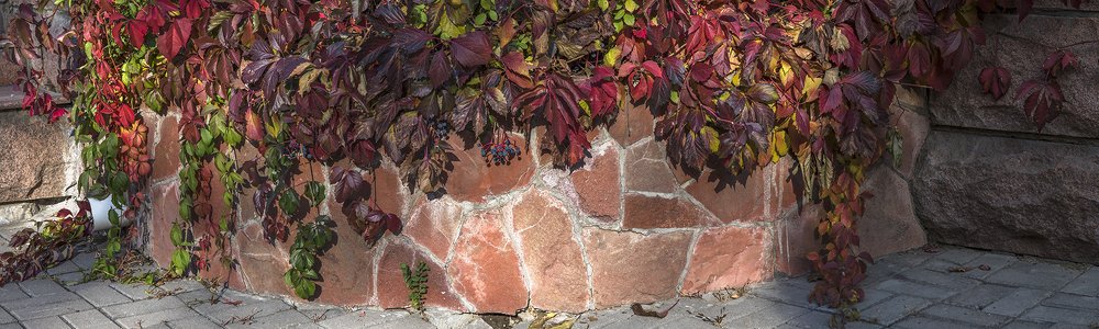 Фотография автора Владимир Пронин