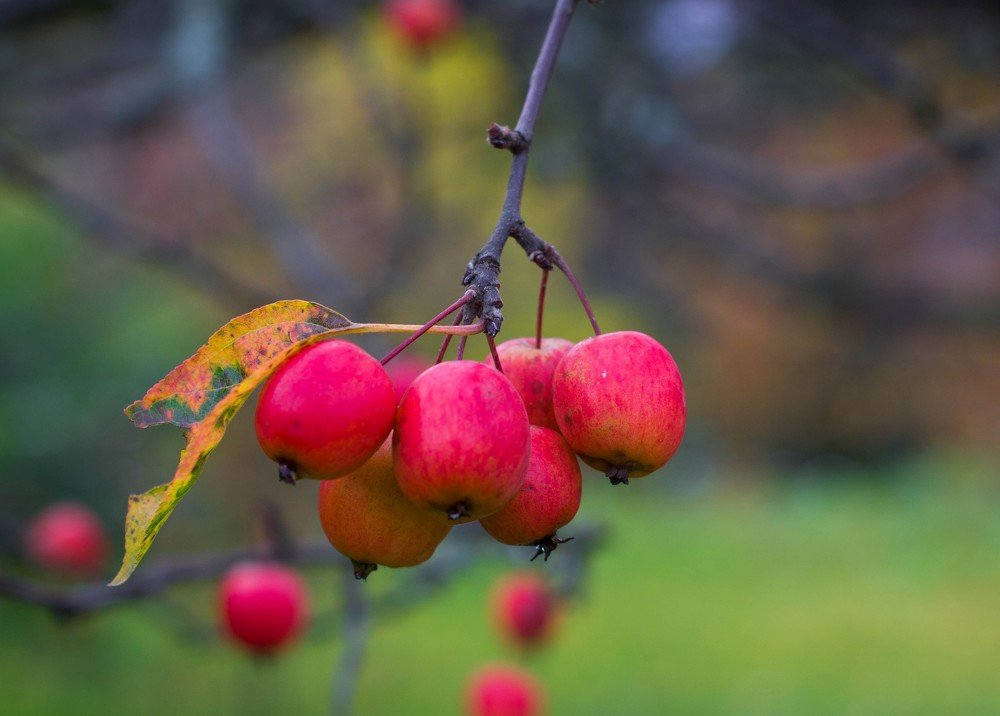 Photograph by Цывкунова Полина