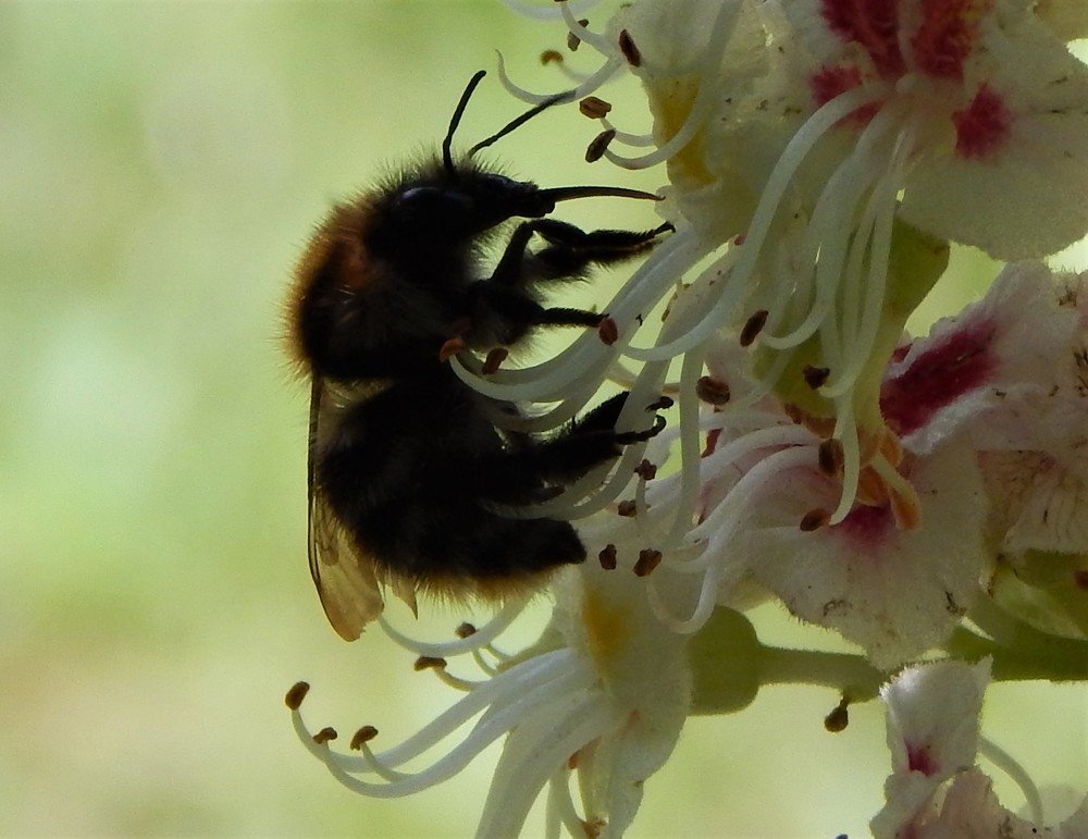 Photograph by Ирина Самойленко