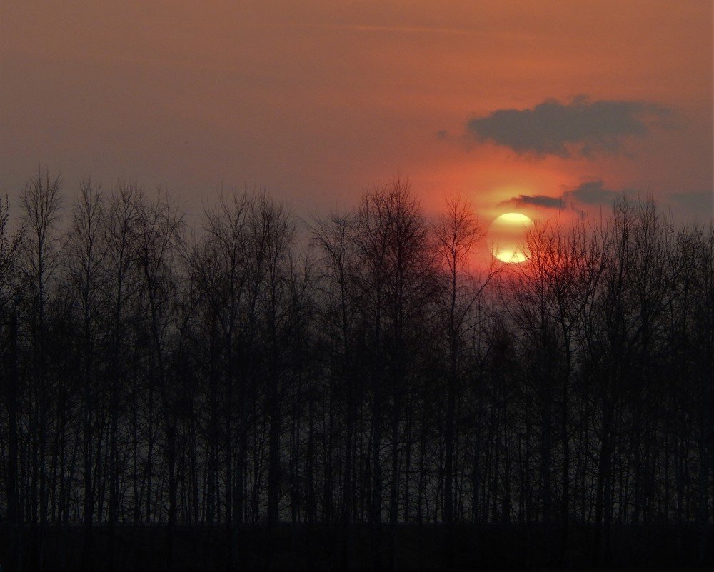 Photograph by Ирина Самойленко