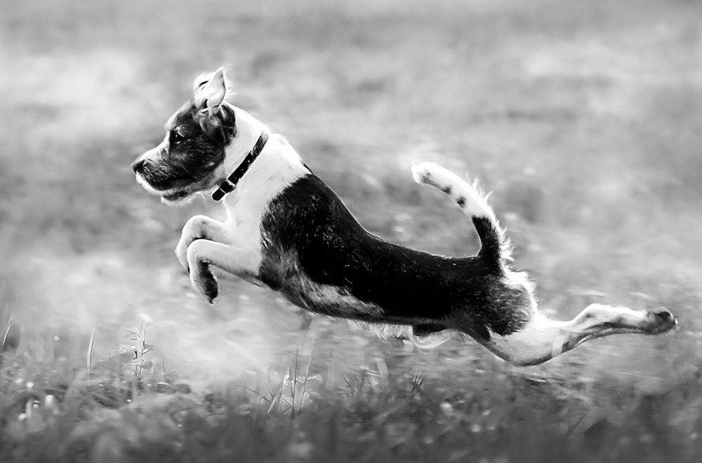 А мне летать охота...